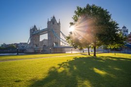 Lais Puzzle - Sonnenaufgang an der Tower Bridge mit Baum und grünem Gras, London, UK - 2.000 Teile