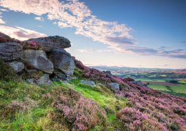 Lais Puzzle - Felsen und Heidekraut auf den Simonside Hills, beliebt bei Wanderern und Spaziergängern, die im Sommer mit Heidekraut bedeckt sind, und Teil des Northumberland National Park sind, mit Blick auf die Cheviot Hills - 1.000 Teile