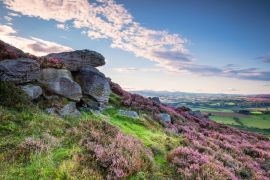 Lais Puzzle - Felsen und Heidekraut auf den Simonside Hills, beliebt bei Wanderern und Spaziergängern, die im Sommer mit Heidekraut bedeckt sind, und Teil des Northumberland National Park sind, mit Blick auf die Cheviot Hills - 2.000 Teile