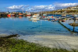 Lais Puzzle - Klares Wasser im alten Hafen von Mallaig, schottisches Hochland - 2.000 Teile