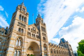 Lais Puzzle - Natural History Museum of London, Vereinigtes Königreich - 2.000 Teile