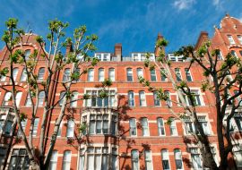 Lais Puzzle - Dulverton Mansions, Gray's Inn Road, Holborn, London, UK - 1.000 Teile