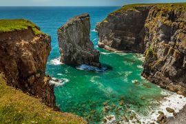 Lais Puzzle - Blick über eine Bucht mit einem vorgelagerten Felsen, der von brütenden Raverbill-Möwen bevölkert wird, an der Küste von Pembrokeshire, Wales, im Sommer - 2.000 Teile