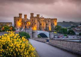 Lais Puzzle - Burg Conwy in Wales, Vereinigtes Königreich - 1.000 Teile