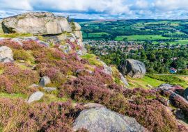 Lais Puzzle - Ein Blick auf violettes Heidekraut auf einem Felsgipfel im Ilkley Moor oberhalb der Stadt Ilkley Yorkshire, UK im Sommer - 1.000 Teile