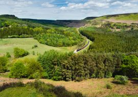 Lais Puzzle - Dampfzug fährt an einem strahlenden Frühlingsmorgen durch Moore und Wälder. Goathland, Großbritannien - 1.000 Teile