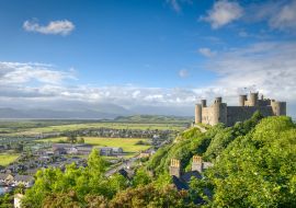 Lais Puzzle - Blick auf die Burg Harlech - 1.000 Teile