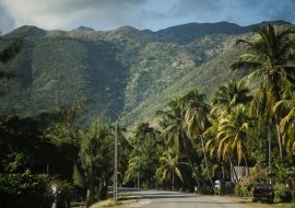 Lais Puzzle - Haitianische Berge, Straße mit Palmen. Region 'Grand Anse', Haiti - 1.000 Teile