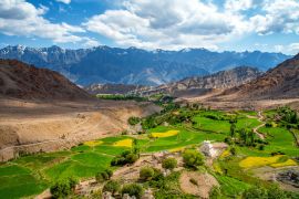 Lais Puzzle - Schöne Landschaft, Wiesen und Ackerland in Ladakh, Indien - 2.000 Teile