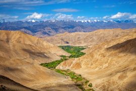 Lais Puzzle - Wunderschöne Landschaft, Wiesen und Ackerland in Ladakh, Indien - 2.000 Teile