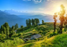 Lais Puzzle - Blick auf die wunderschönen Panchchuli-Gipfel des Großen Himalaya von Munsiyari aus, Uttarakhand, Indien - 1.000 Teile