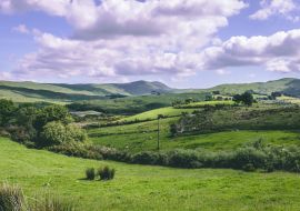 Lais Puzzle - Die grünen Felder von der Landstraße R585 von Cousane Gap in der Grafschaft Cork, Irland, aus gesehen - 1.000 Teile