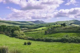 Lais Puzzle - Die grünen Felder von der Landstraße R585 von Cousane Gap in der Grafschaft Cork, Irland, aus gesehen - 2.000 Teile