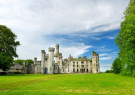 Lais Puzzle - Die Türme und Türmchen von Ducketts Grove, einer Hausruine aus dem 19. Jahrhundert und einem ehemaligen Anwesen in Irland - 1.000 Teile