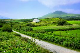 Lais Puzzle - Straße durch die grünen Felder der Grafschaft Kerry mit kleinem Bauernhaus, Irland - 2.000 Teile
