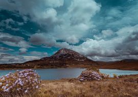 Lais Puzzle - Mount Errigal, Co. Donegal, Irland, Berg Errigal, Co. Donegal, Irland, spiegelt sich in einem blauen See, umgeben von Torfland im Nationalpark - 1.000 Teile