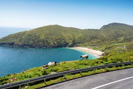 Lais Puzzle - Schafe auf einer Klippe im Fokus, Keem Strand außerhalb des Fokus, Achill Insel in der Grafschaft Mayo, Irland, warmer sonniger Tag. Klarer blauer Himmel und Wasser des Atlantischen Ozeans. Irische Landschaft - 2.000 Teile
