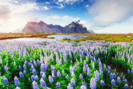 Lais Puzzle - Malerische Ausblicke auf den Fluss und die Berge in Island - 2.000 Teile