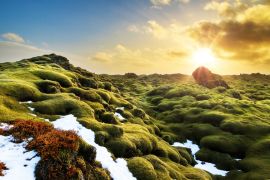 Lais Puzzle - Schönes Panorama der erstaunlichen vulkanischen Mooslandschaft von Eldhraun bei Sonnenaufgang in Island - 2.000 Teile
