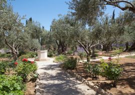 Lais Puzzle - Garten von Gethsemane - 1.000 Teile