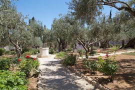 Lais Puzzle - Garten von Gethsemane - 2.000 Teile