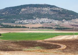 Lais Puzzle - ein panorama des tabor har tavor in der unteren galiläa in nordisrael mit modernen landwirtschaftlichen feldern im vordergrund - 1.000 Teile