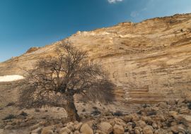 Lais Puzzle - Ein Avdat-Nationalpark Israel - 1.000 Teile