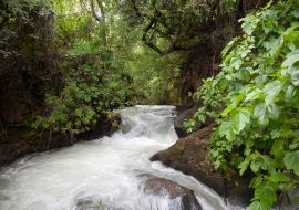 Lais Puzzle - Banias, die Golanhöhen, Israel - 1.000 Teile
