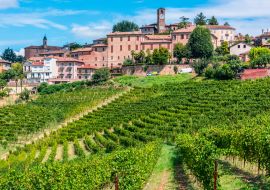 Lais Puzzle - Blick auf Neive in der Provinz Cuneo, Piemont - 1.000 Teile