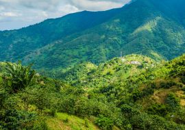 Lais Puzzle - Blaue Berge von Jamaika Kaffeewachstum Ort - 1.000 Teile
