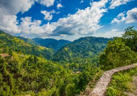 Lais Puzzle - Blaue Berge von Jamaika Kaffee-Wachstumsort - 1.000 Teile
