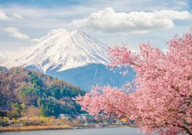 Lais Puzzle - Berg Fuji im Frühling, Kirschblüte Sakura - 1.000 Teile