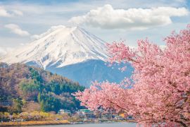 Lais Puzzle - Berg Fuji im Frühling, Kirschblüte Sakura - 2.000 Teile