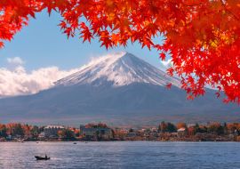 Lais Puzzle - Herbst am Berg Fuji in Japan - 1.000 Teile