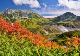 Lais Puzzle - Tateyama / Japan ~ Herbst - 1.000 Teile