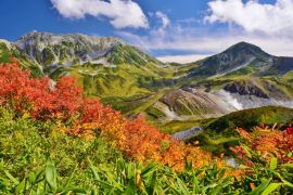 Lais Puzzle - Tateyama / Japan ~ Herbst - 2.000 Teile
