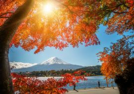 Lais Puzzle - Der Berg Fuji in Herbstfarben, Japan - 1.000 Teile