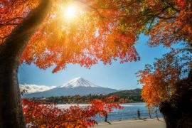 Lais Puzzle - Der Berg Fuji in Herbstfarben, Japan - 2.000 Teile