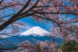 Lais Puzzle - Berg Fuji Sakura Kirschblüte Japan Frühlingszeit - 2.000 Teile
