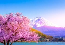 Lais Puzzle - Der Berg Fuji und die Kirschblüten, die vom Kawaguchiko-See in Yamanashi zu sehen sind - 1.000 Teile