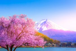 Lais Puzzle - Der Berg Fuji und die Kirschblüten, die vom Kawaguchiko-See in Yamanashi zu sehen sind - 2.000 Teile