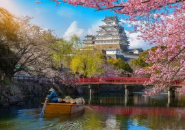 Lais Puzzle - Burg Himeji mit wunderschönen Kirschblüten, die Burg Himeji ist ein berühmter Aussichtspunkt für Kirschblüten in Osaka - 1.000 Teile