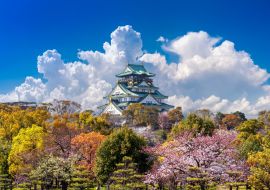 Lais Puzzle - Kirschblüten und Burg in Osaka - 1.000 Teile