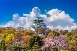 Lais Puzzle - Kirschblüten und Burg in Osaka - 2.000 Teile