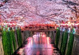 Lais Puzzle - Kirschblütenreihen entlang des Meguro-Flusses in Tokio - 1.000 Teile