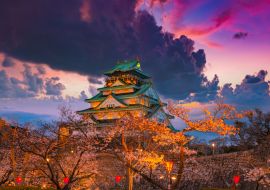 Lais Puzzle - Kirschblüte im Schloss von Osaka, Japan bei Nacht - 1.000 Teile