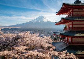 Lais Puzzle - Fujiyoshida, Japan, Chureito-Pagode und Berg Fuji im Frühling mit Kirschblüten in voller Blüte bei Sonnenaufgang - 1.000 Teile