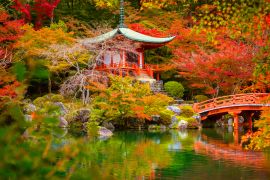 Lais Puzzle - Daigo-ji-Tempel mit bunten Ahornbäumen im Herbst, Kyoto, Japan - 2.000 Teile