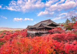 Lais Puzzle - Herbstlandschaft der Kiyomizu-dera-Bühne in Kyoto, Japan - 1.000 Teile