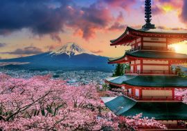 Lais Puzzle - Kirschblüten im Frühling, Chureito-Pagode und Fuji-Berg in Japan - 1.000 Teile